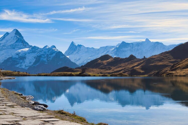 일대일제자양육